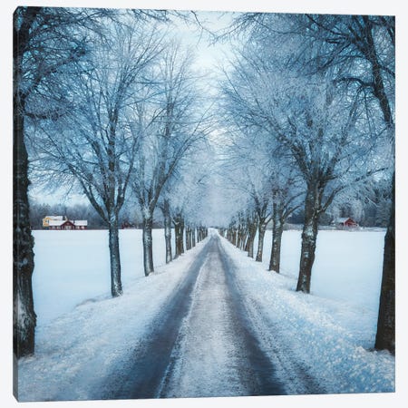 Swedish Winter Canvas Print #CLI25} by Christian Lindsten Canvas Art Print