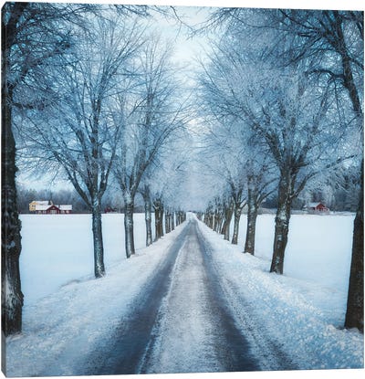 Swedish Winter Canvas Art Print