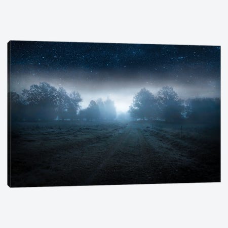 Visions of the night Canvas Print #CLI34} by Christian Lindsten Canvas Art
