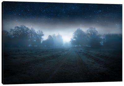 Visions of the night Canvas Art Print