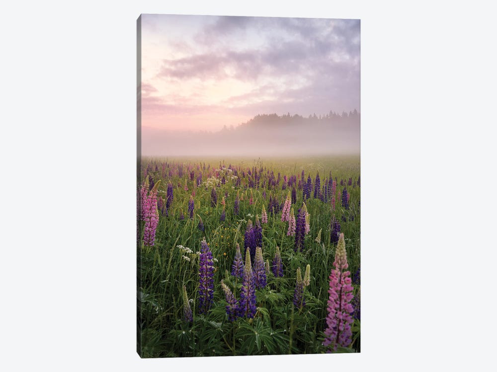 Lupines In Fog Part 3 by Christian Lindsten 1-piece Canvas Art