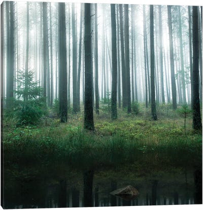 Lake In Forest Canvas Art Print