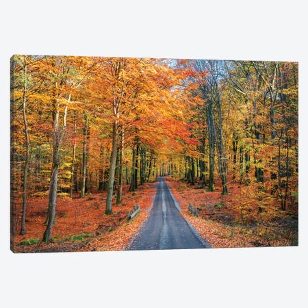 Road Into Autumn Canvas Print #CLI41} by Christian Lindsten Canvas Art