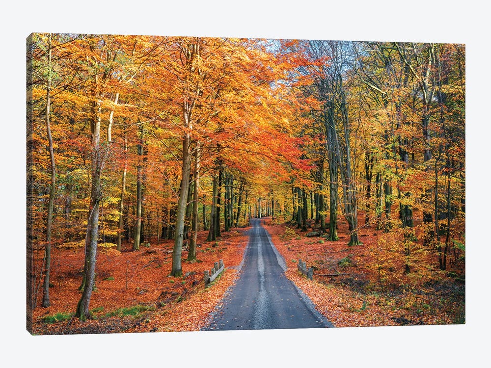 Road Into Autumn by Christian Lindsten 1-piece Canvas Art Print
