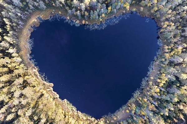 Christian Lindsten: All You Need Is Love by Christian Lindsten