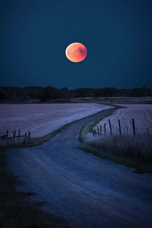 Bloodmoon 2018 by Christian Lindsten wall art