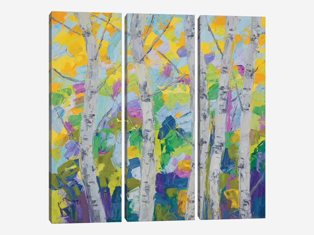 Dancing Birch Tree I by Ann Marie Coolick 3-piece Art Print