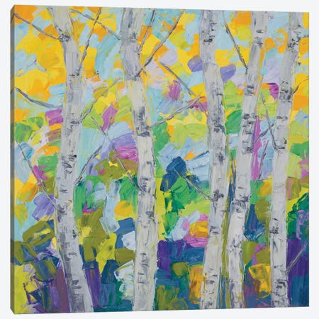 Dancing Birch Tree I Canvas Print #CLK19} by Ann Marie Coolick Canvas Art Print