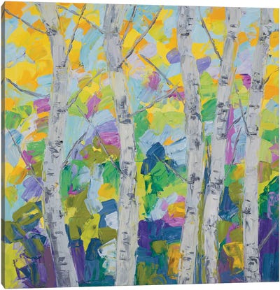 Dancing Birch Tree I Canvas Art Print