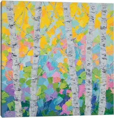 Dancing Birch Tree II Canvas Art Print