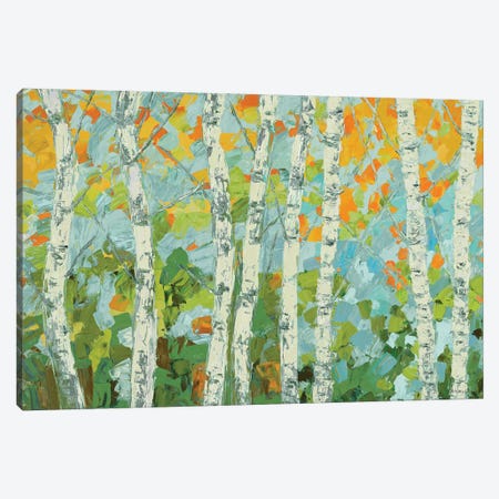 Autumn Dancing Birch Tree Canvas Print #CLK41} by Ann Marie Coolick Canvas Artwork