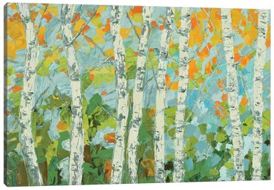 Autumn Dancing Birch Tree Canvas Art Print - Birch Tree Art