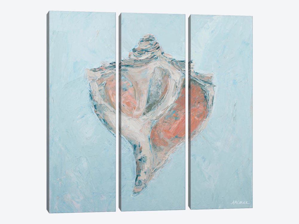 Conch & Scallop I by Ann Marie Coolick 3-piece Canvas Art Print