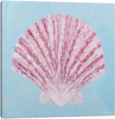 Conch & Scallop II Canvas Art Print - Sea Shell Art