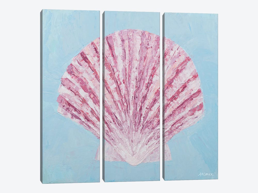 Conch & Scallop II by Ann Marie Coolick 3-piece Canvas Wall Art