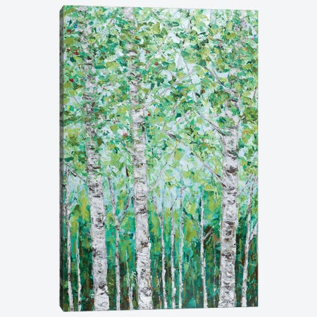 Green Birchwood I Canvas Print #CLK64} by Ann Marie Coolick Art Print