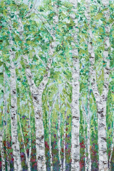 Birch Trees: Green Birchwood II by Ann Marie Coolick