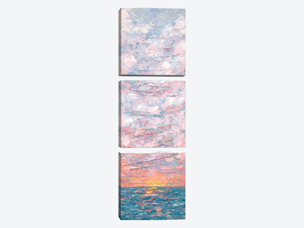 Sunset Rise by Ann Marie Coolick 3-piece Canvas Wall Art