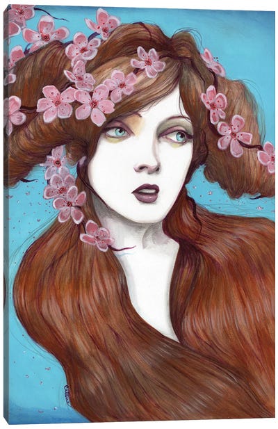 Cherry Blossom Canvas Art Print - Celene Petrulak
