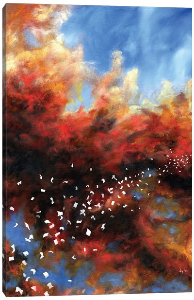 Explosion In The Sky Canvas Art Print - Christopher Lyter