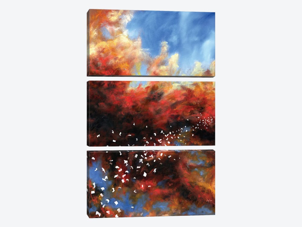 Explosion In The Sky by Christopher Lyter 3-piece Canvas Artwork