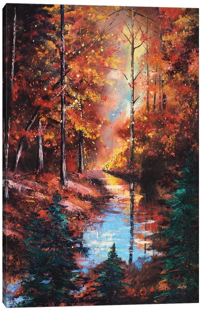 Little Buffalo Creek Canvas Art Print - Nature Lover