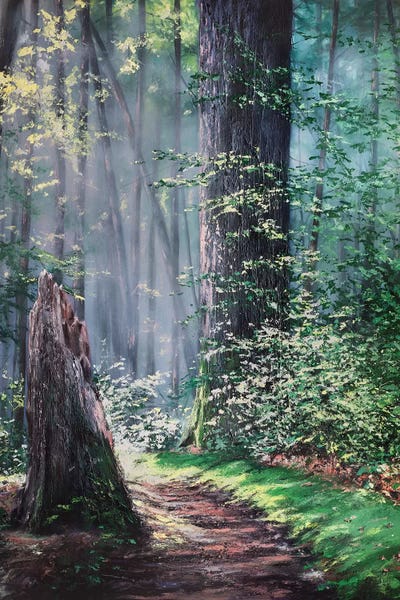 Through A Forest Wilderness by Christopher Lyter framed canvas print