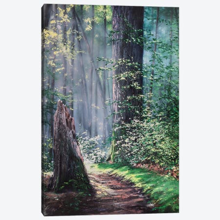 Through A Forest Wilderness Canvas Print #CLT37} by Christopher Lyter Canvas Print