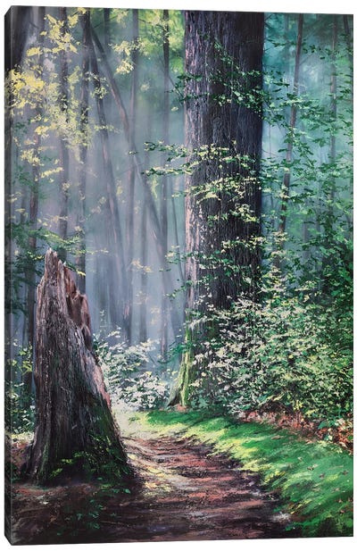 Through A Forest Wilderness Canvas Art Print - Christopher Lyter