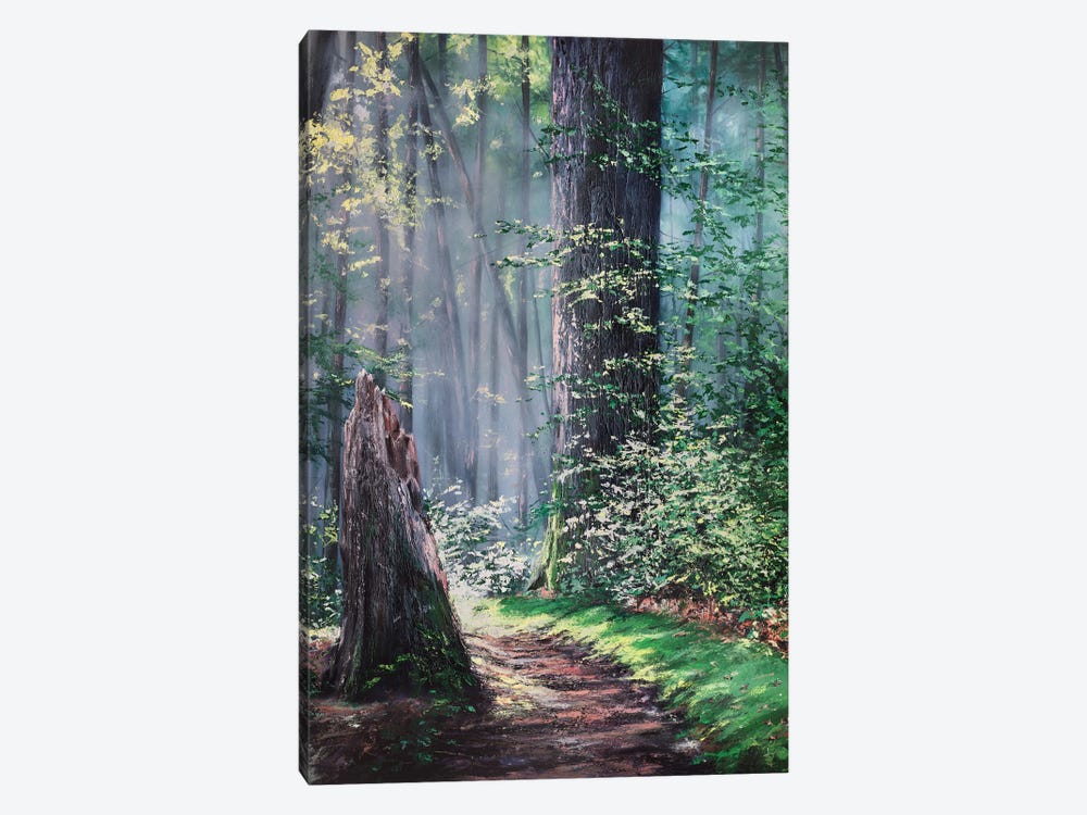 Through A Forest Wilderness by Christopher Lyter 1-piece Canvas Wall Art