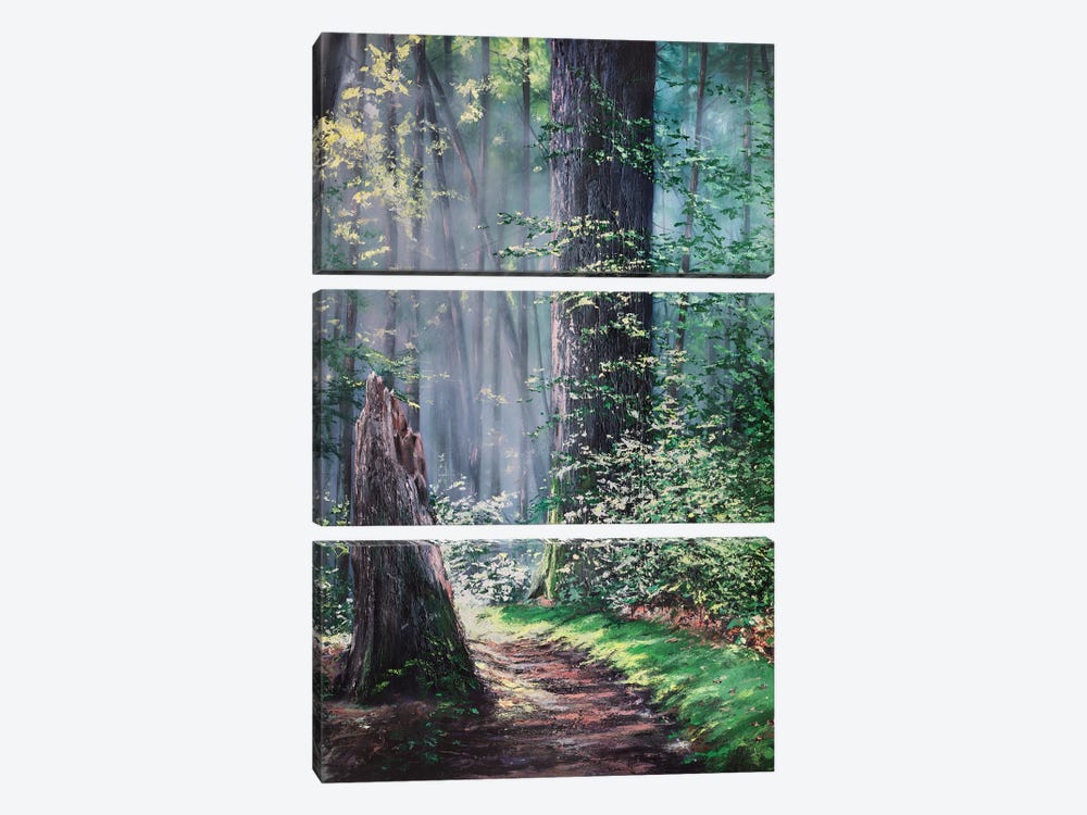 Through A Forest Wilderness by Christopher Lyter 3-piece Canvas Wall Art