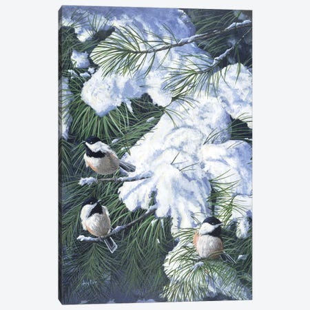 Winter Chickadees Canvas Print #CLT40} by Christopher Lyter Canvas Print