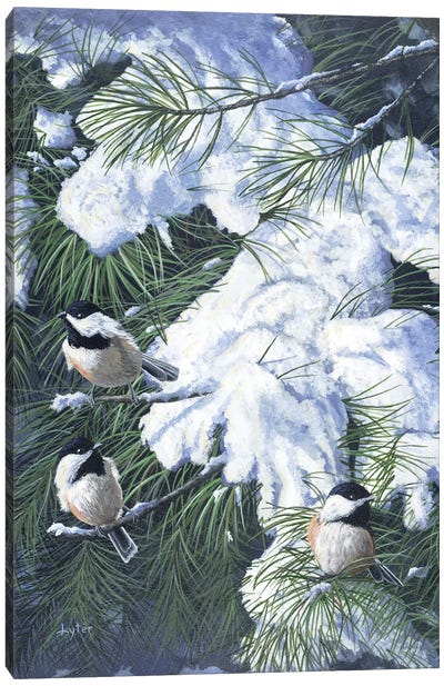 Winter Chickadees Canvas Art Print - Rustic Winter