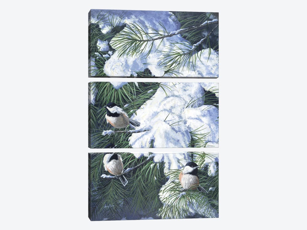 Winter Chickadees by Christopher Lyter 3-piece Canvas Artwork