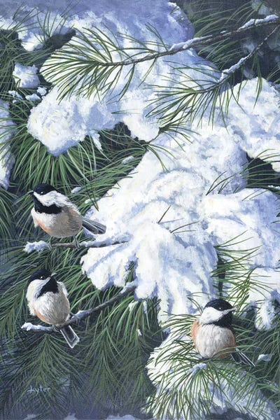 Pine Trees: Winter Chickadees by Christopher Lyter