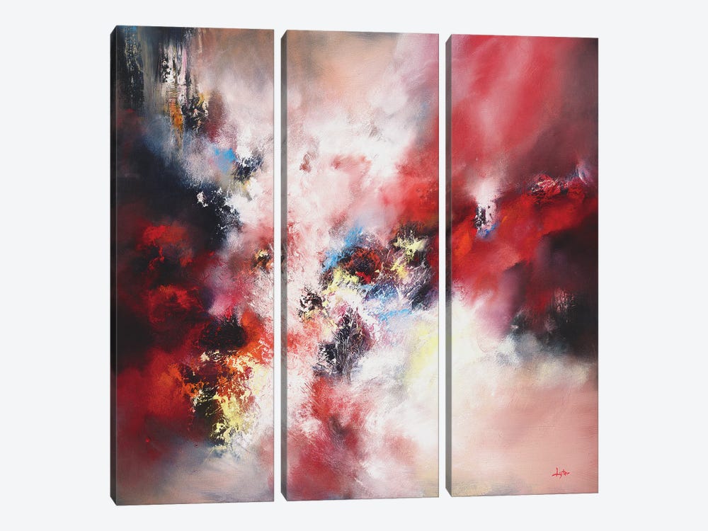 An Infinite Storm Of Beauty by Christopher Lyter 3-piece Canvas Print