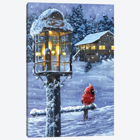 Winter Warmth Canvas Print #CLT87} by Christopher Lyter Canvas Art