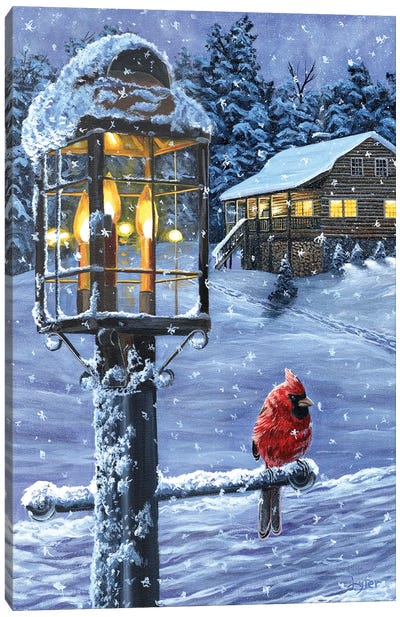 Winter Warmth Canvas Art Print - Cardinal Art