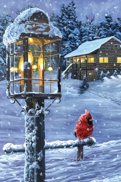 Christopher Lyter: Winter Warmth by Christopher Lyter