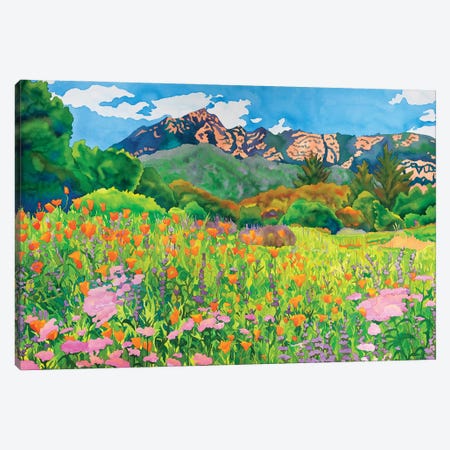 Santa Barbara Botanic Garden Canvas Print #CLU122} by Carissa Luminess Canvas Wall Art