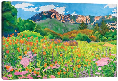 Santa Barbara Botanic Garden Canvas Art Print