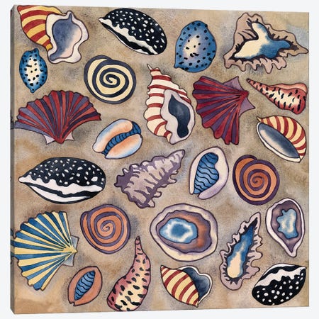 Sea Shells- Square Canvas Print #CLU124} by Carissa Luminess Canvas Art Print