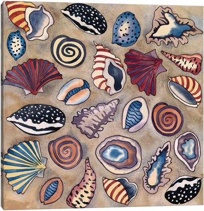 Sea Shells- Square Canvas Art Print - Carissa Luminess