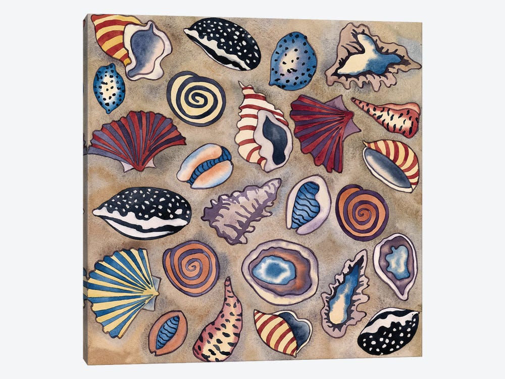 Sea Shells- Square by Carissa Luminess 1-piece Canvas Artwork