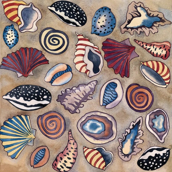 Carissa Luminess: Sea Shells- Square by Carissa Luminess