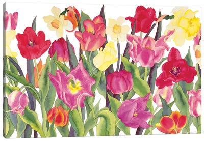 Tulips And Daffodils Canvas Art Print - Carissa Luminess