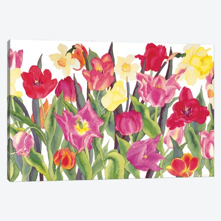 Tulips And Daffodils Canvas Print #CLU160} by Carissa Luminess Canvas Wall Art