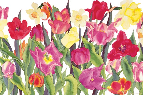 Tulips And Daffodils