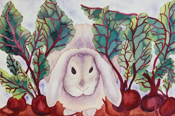 Carissa Luminess: Bunny with Beets by Carissa Luminess