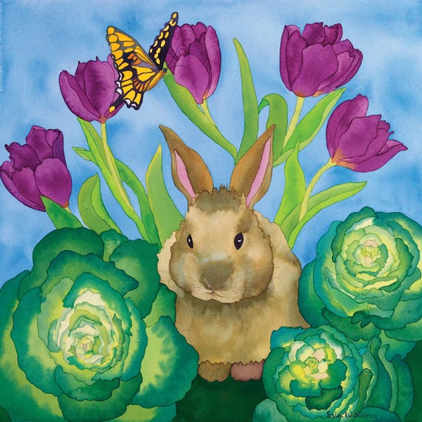 Carissa Luminess: Bunny with Cabbage by Carissa Luminess